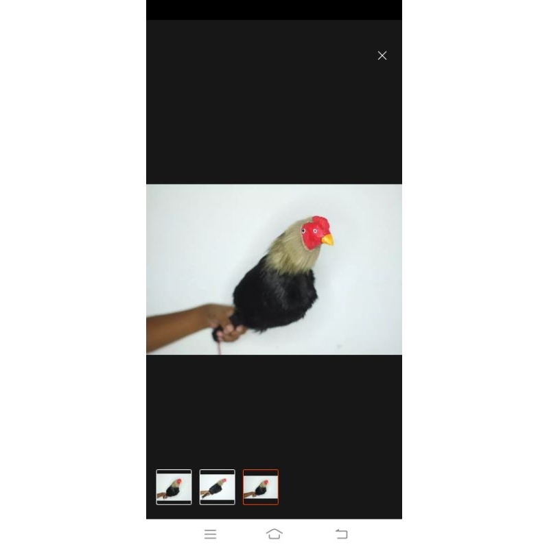 boneka ayam/kepala ayam/untuk melatih ketangkasan ayam
