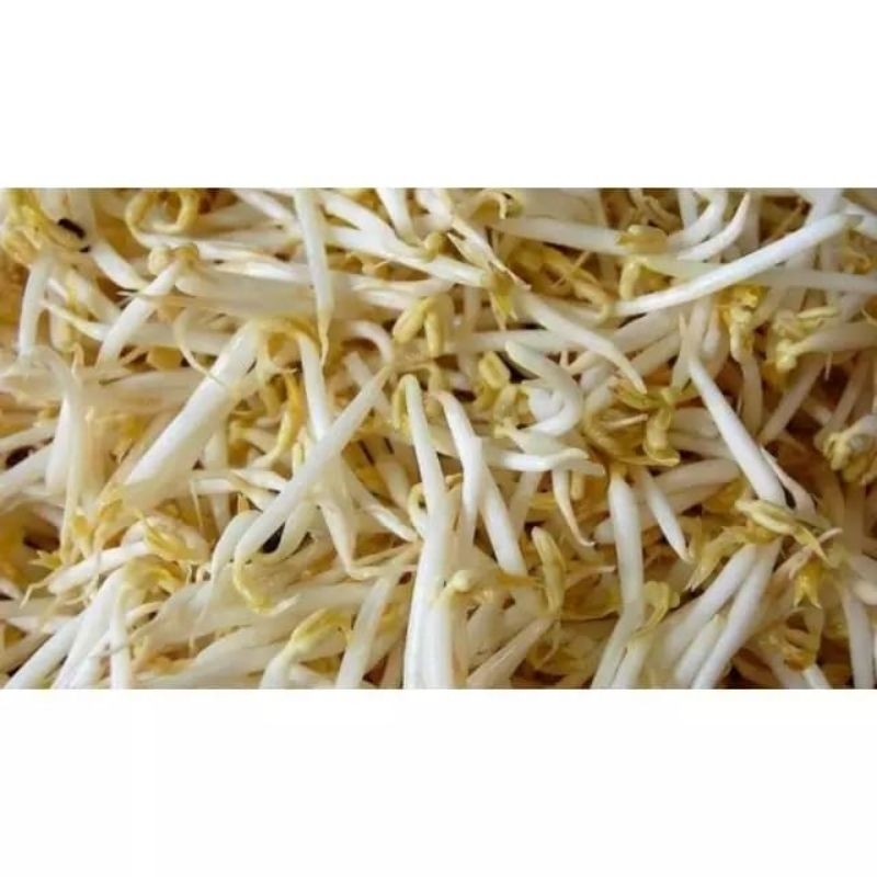 

toge / tauge 250 gram - KIRIM INSTAN