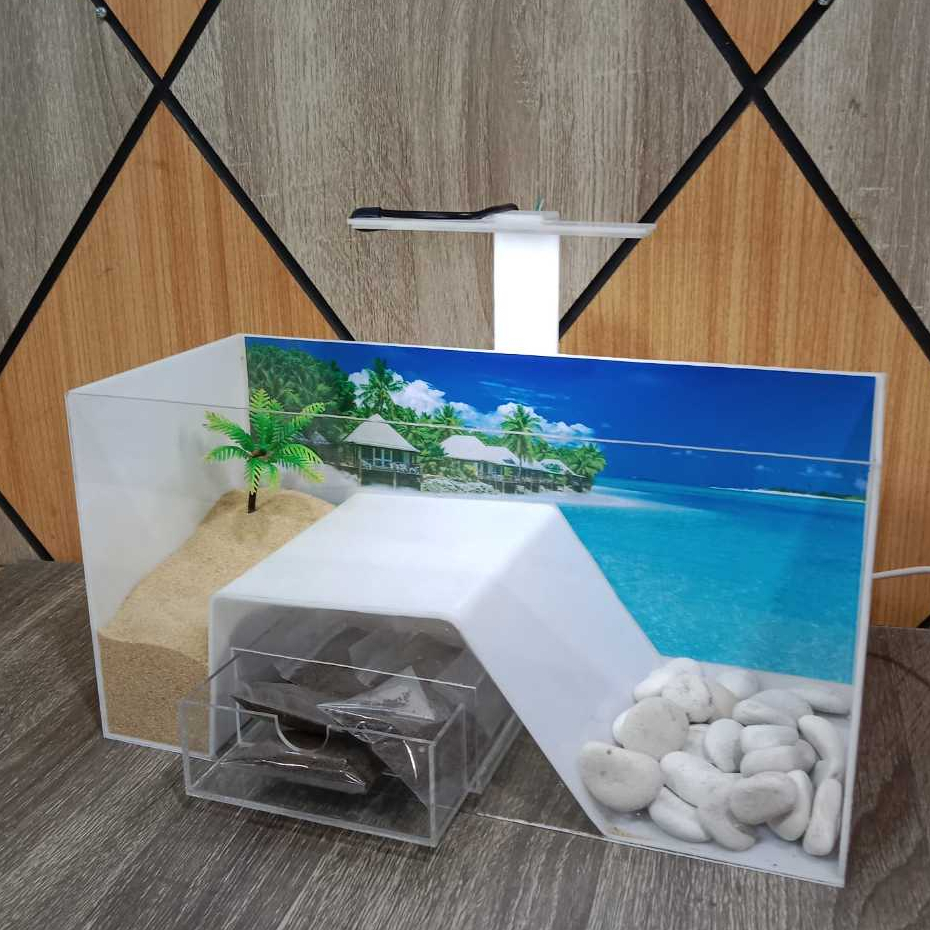 Akuarium Kura-Kura Mini Kura-kura Brasil Bahan Akrilik Paket Dengan Lampu Led Usb Power Bank