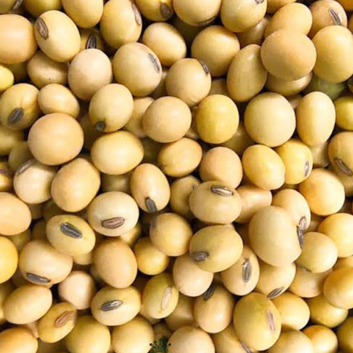 

Terlaris Kacang Kedelai Super Import 1kggradeAKacang Kedelai Soybean
