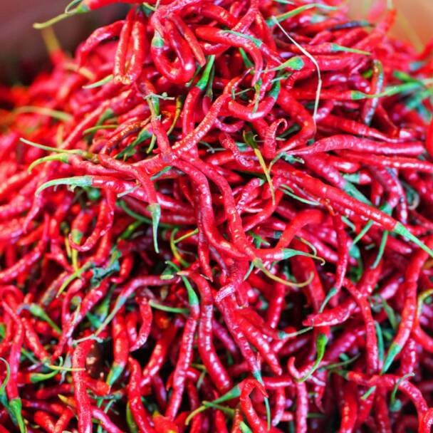 

FLASH SALE Cabe Cabai Merah Keriting 5 gr