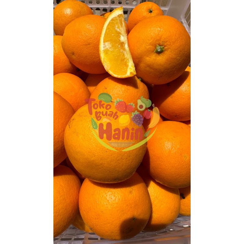 JERUK SUNKIST MURAH BANDUNG