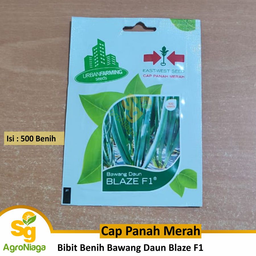 Bibit Benih Bawang Daun Blaze Cap Panah Merah