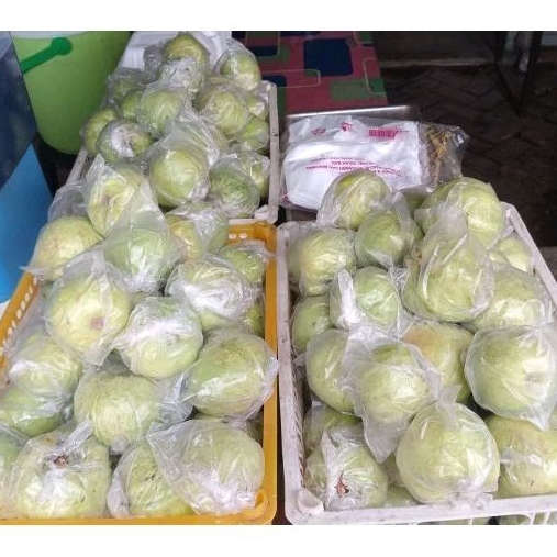 

Jambu Kristal 1kg/Jambu Kristal Kiloan/Jambu Kristal