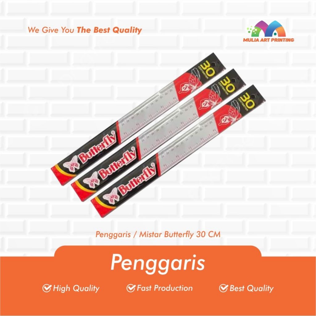 

PENGGARIS/MISTAR 30 CM