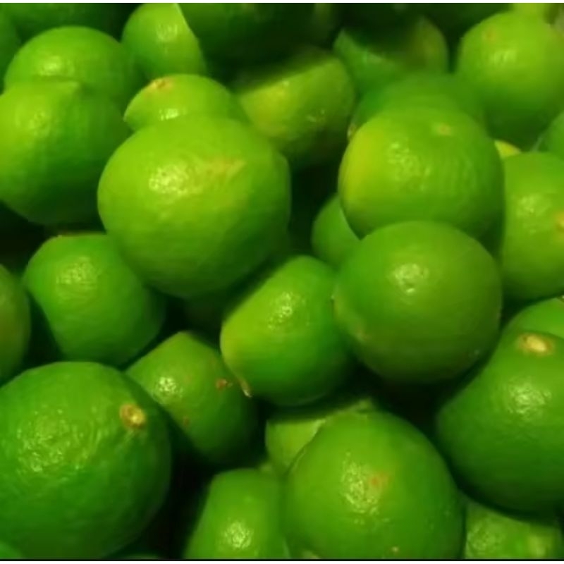 

jeruk nipis segar jeruk petik kebun sendiri 250gr