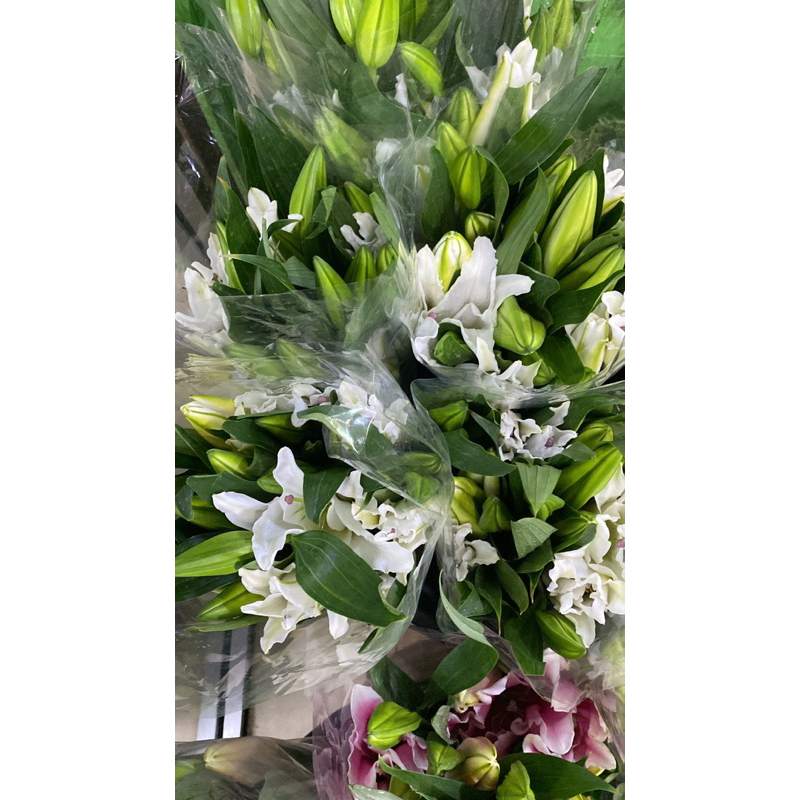 Bunga Segar Lily | Bunga Asli Lily Casablanca | Casablanca ASLI |  Bunga Lily Idul Fitri | Hiasan Li