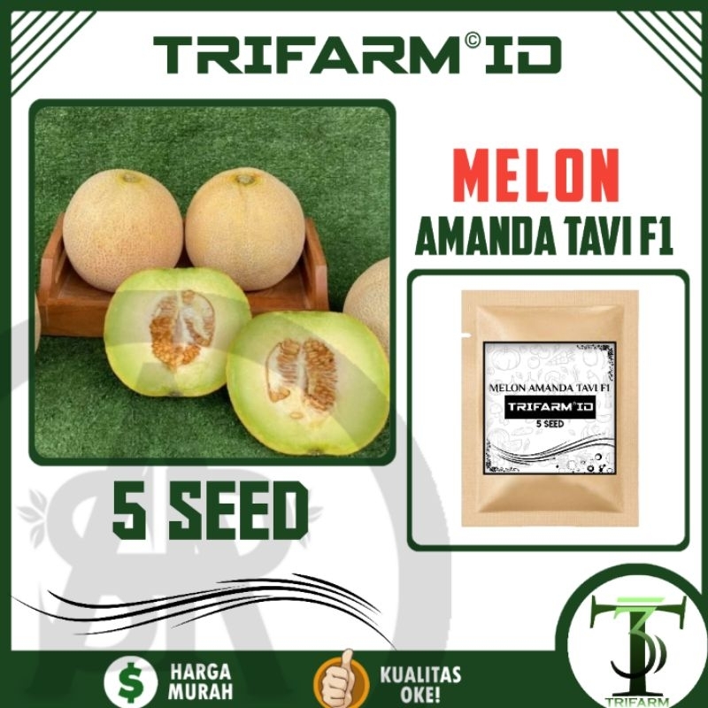 TRIFARM 5 Biji Benih Bibit Melon Amanda Tavi Kemasan Sachet Kraft