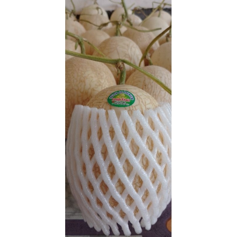 

Buah Melon SWEETNET ,Golden Royal fresh,Honey Royal Premium