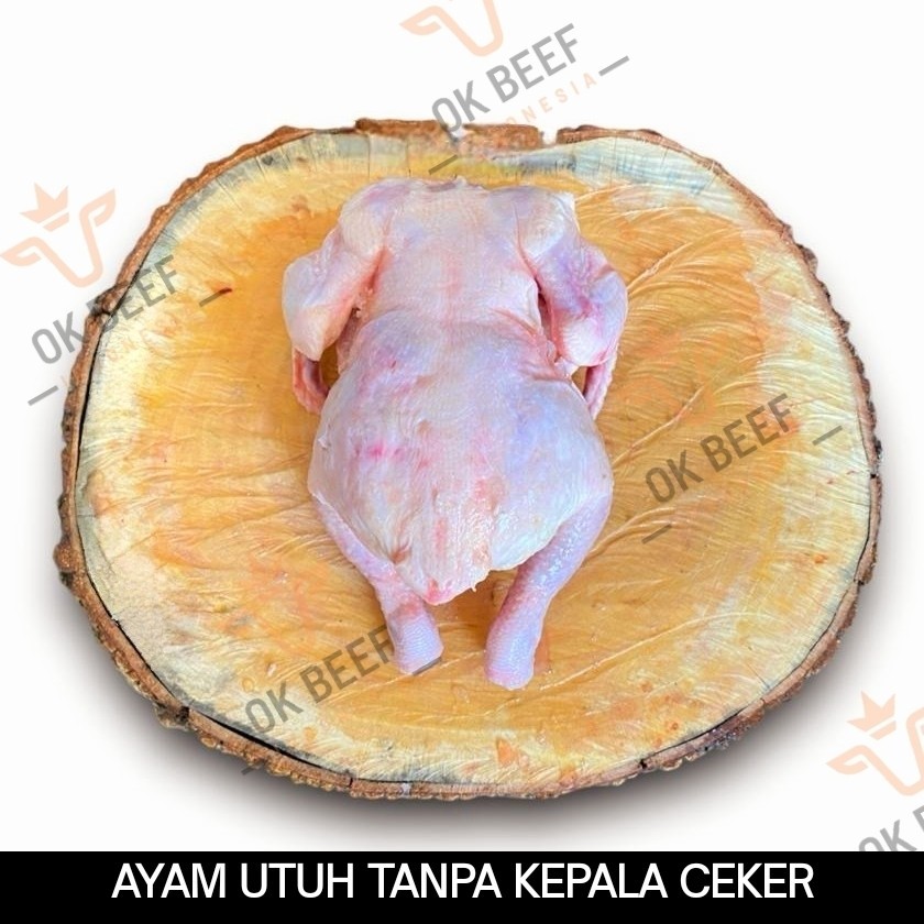 

Ayam Potong Utuh / Karkas Broiler Tanpa Kepala Ceker / Whole Chicken - 600 gram