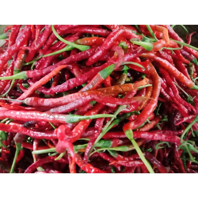 

CABAI MERAH KERITING 100g