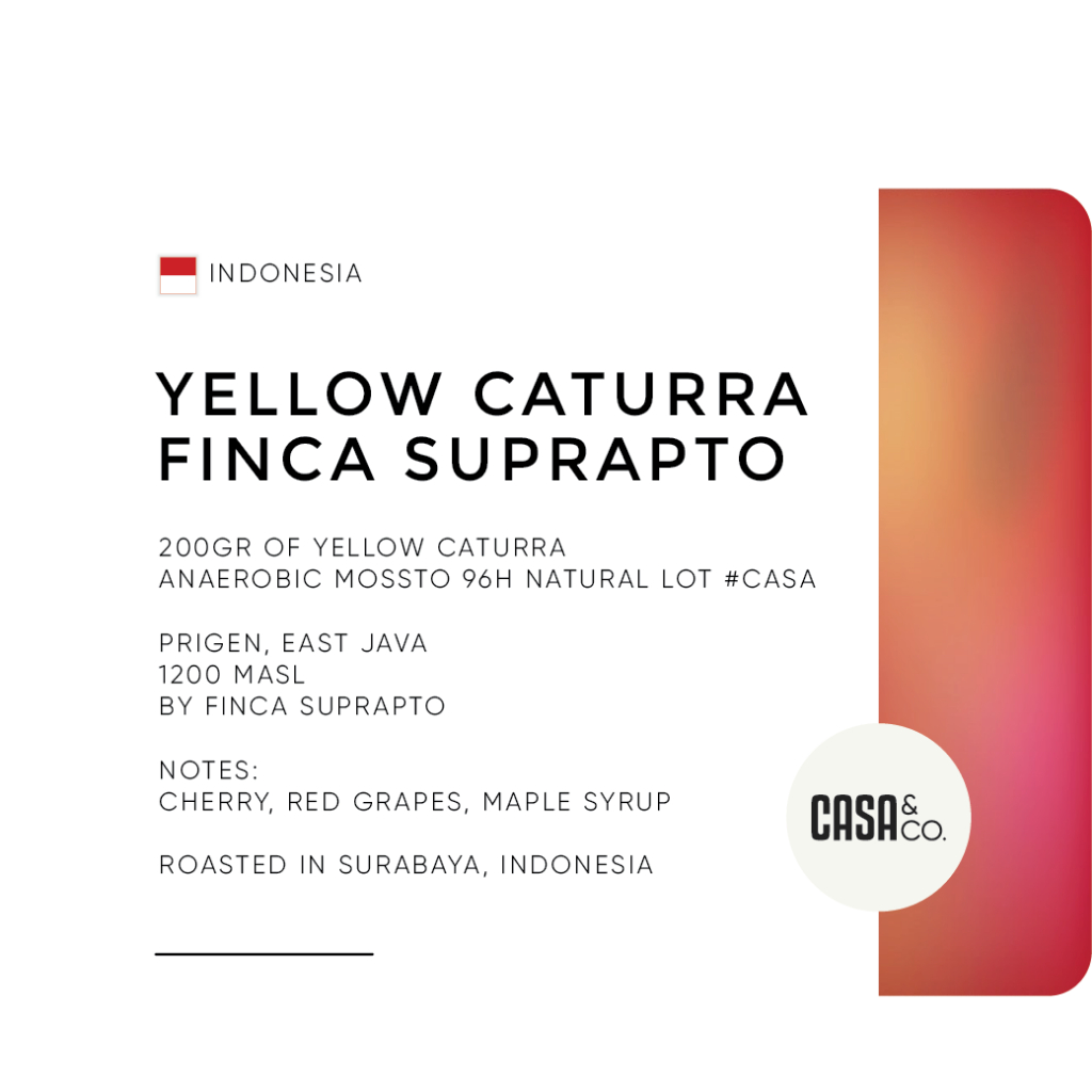 

Roasted Beans Yellow Caturra Finca Suprapto Anaerobic Mossto Natural 200gr - Biji Kopi Arabika