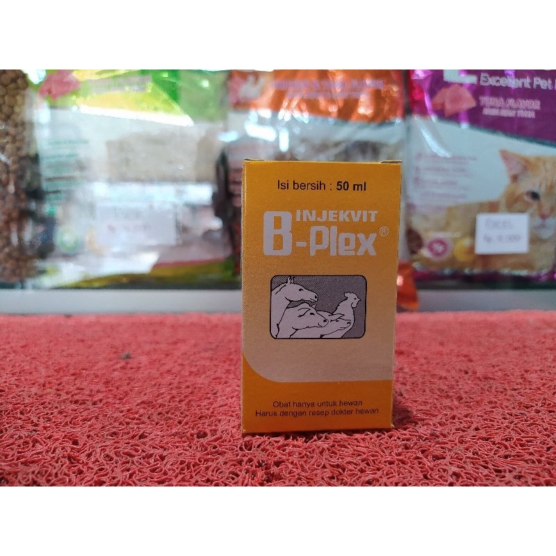 Vitamin B Complex Injeksi/Suntik