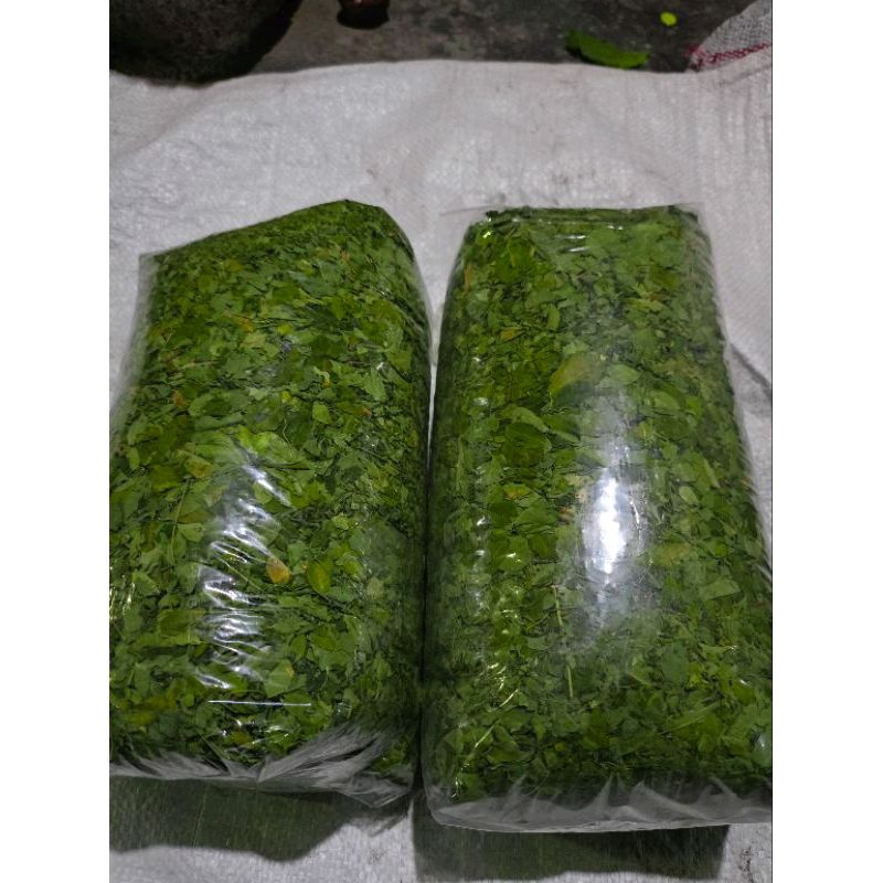 

Daun Kelor Kering teh daun kelor 1kg