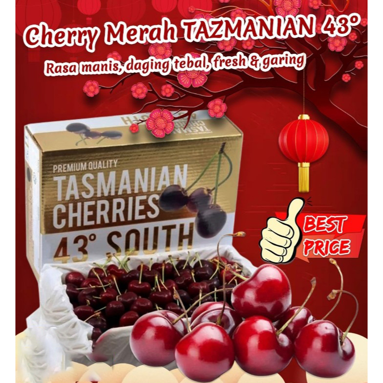 

CHERRY MERAH TAZMANIAN 43 DERAJAT S34-36 - 2KG