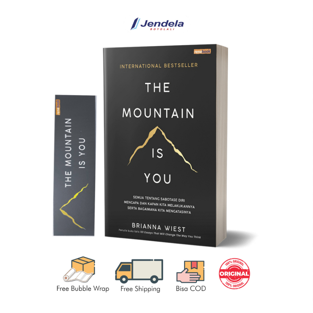 The Mountain Is You by Brianna Wiest