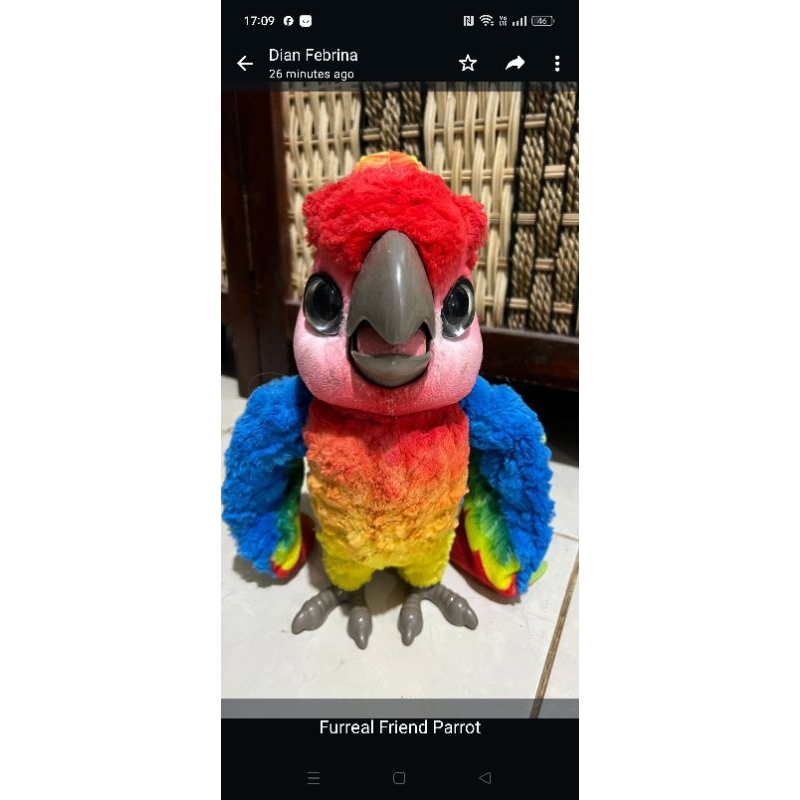 Furreal Friend Parrot Preloved