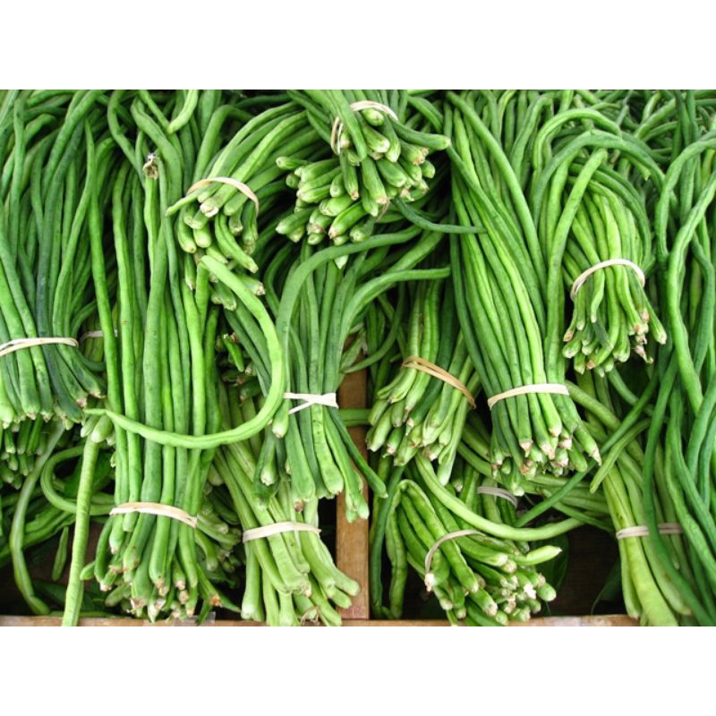 

Kacang Panjang 1kg