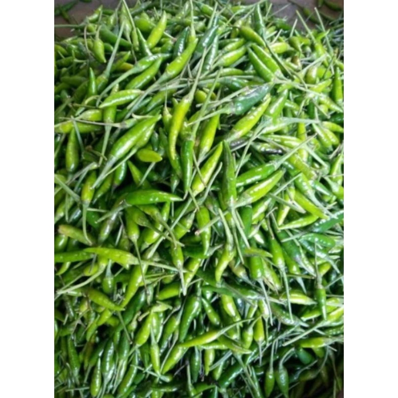 

Cabe rawit ijo 500 gram / 1kg