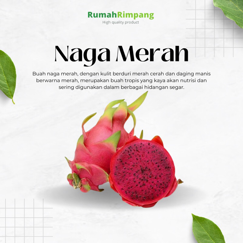 

[BISA INSTAN] JUAL BUAH NAGA MERAH FRESH - KEMASAN 1 KG