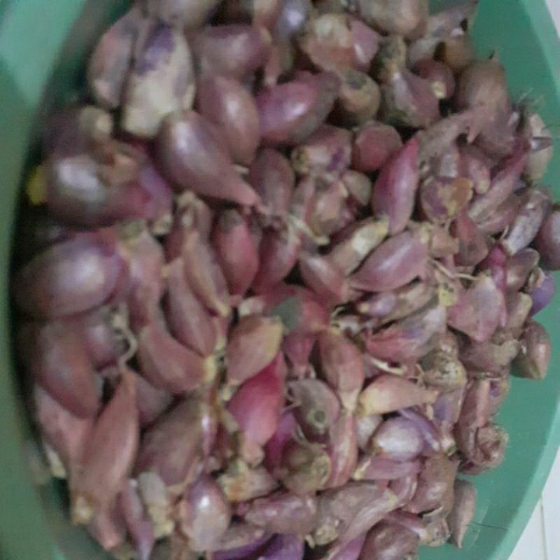 

Brambang kecil 1kg