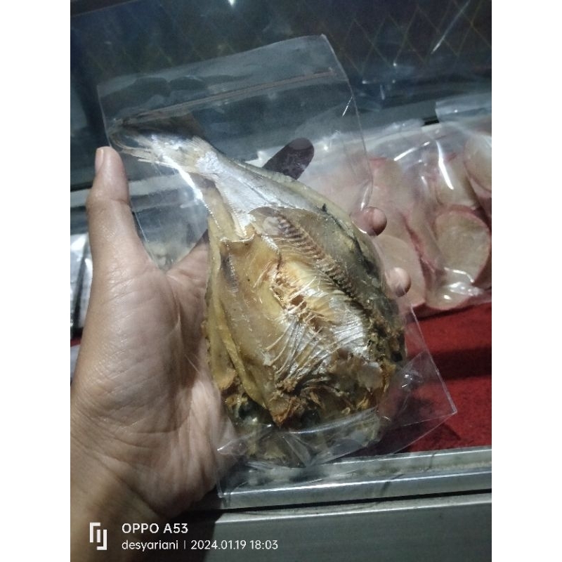 

ikan asin
