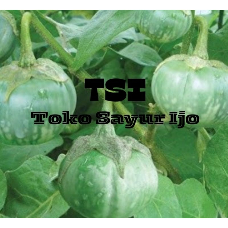 

Terong Bulat/Lalap - Kirim Instan