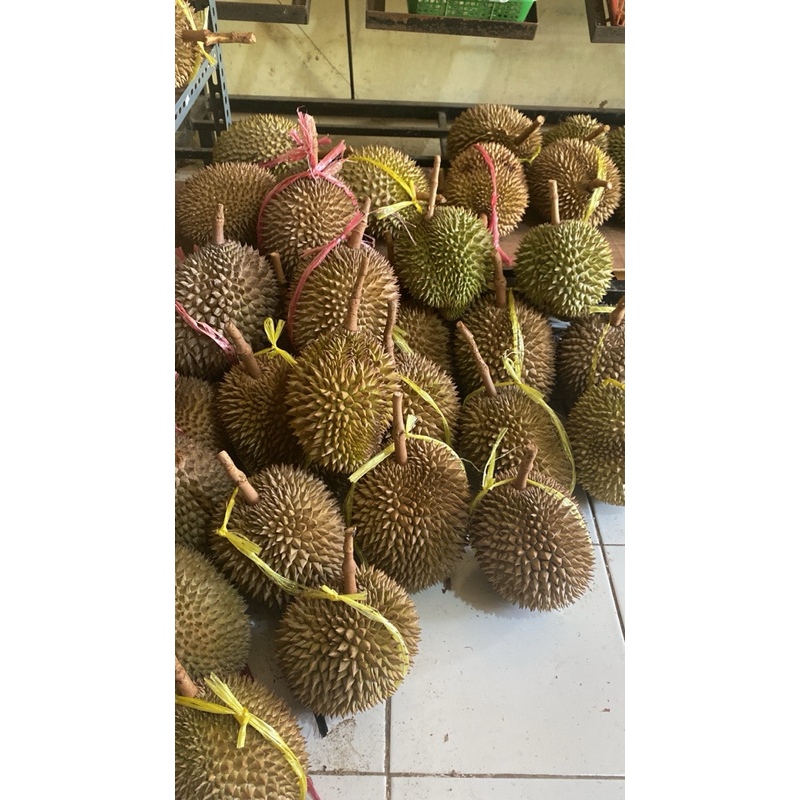 

durian legit siap dimakan mateng dan manis siap dikirim ke seluru Indonesia durian manis durian montong durian legi durian runtuht