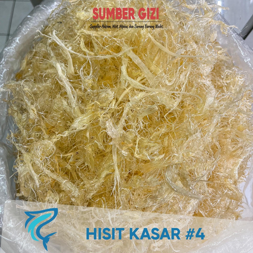 

Hisit Kering Kasar Sirip Ikan Hiu Kasar 4 Grade A/ Huchi/ Hu Chi/ Hechi/ He Chi/ Sirip Kering