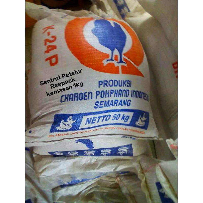 Sentrat ayam petelur Protein kalsium tinggi / Konsentrat ayam bebek Petelur K24P Pokphand