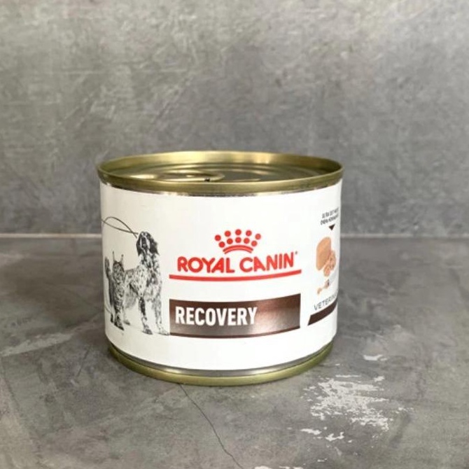 Royal Canin Recovery Kaleng Wet Food Anjing Kucing grosir
