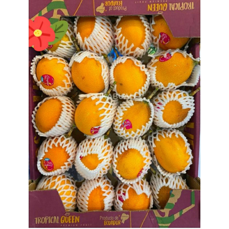 

markisa equador gift pack