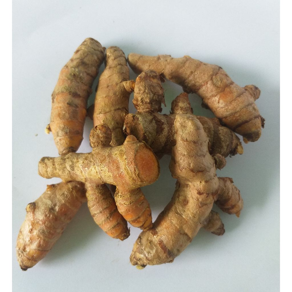 

Kunyit / Kunir