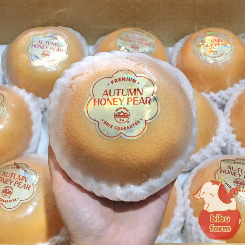 

Pear Autumn Honey Wangshan Berat/1,1 Kilogram