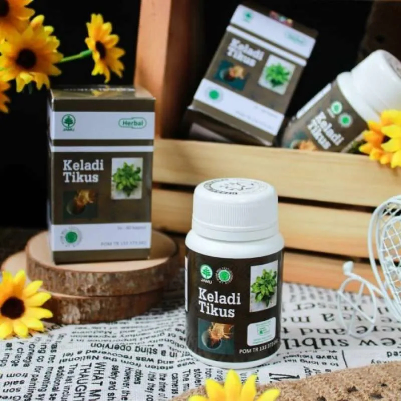 Kapsul HIU Keladi Tikus obat herbal kanker kangker tumor mioma