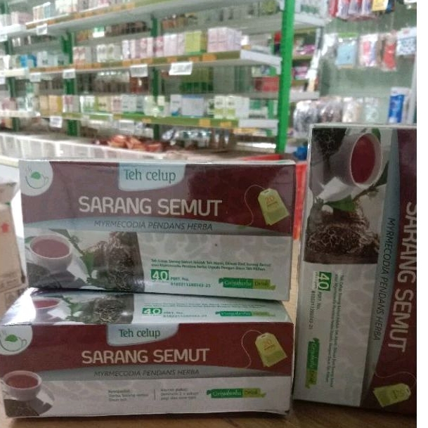 

TEH HERBAL SARANG SEMUT ASLI AMPUH SEMBUHKAN KANKER TUMOR BENJOLAN