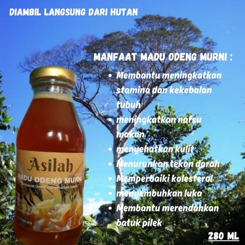 

ASILAH_madu Odeng murni 280ml
