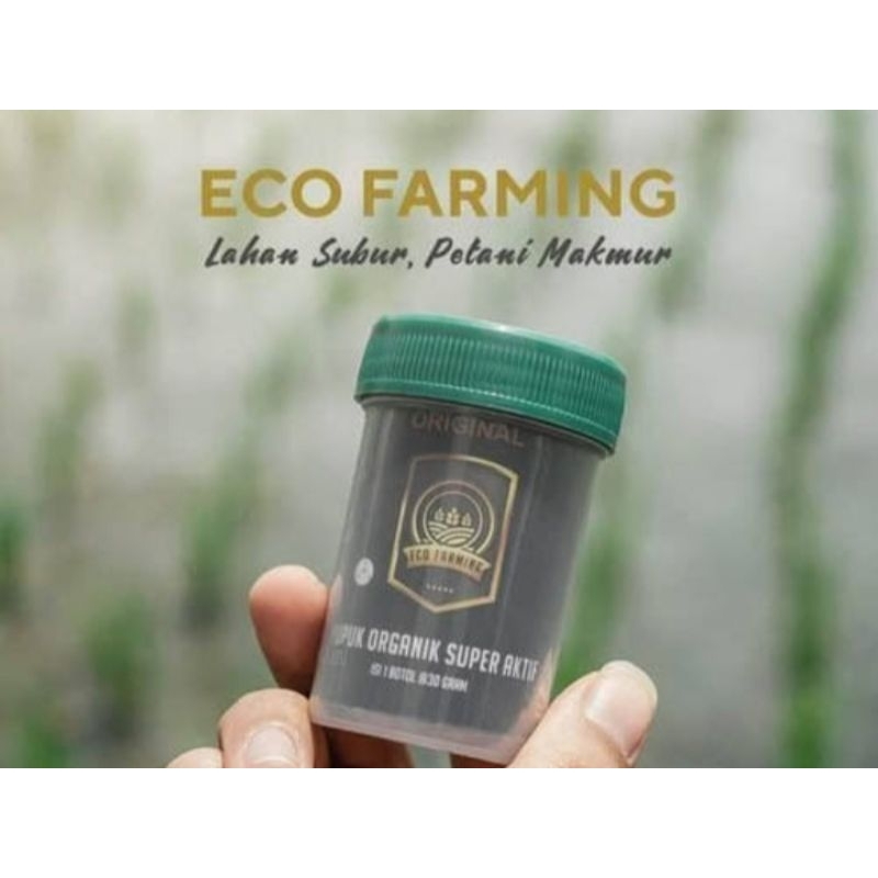 Eco Farming
