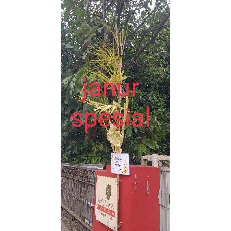 Janur penanda kecil(beli 2,3 dst..bonus nama) pernikahan atau sunatan janur kecil tinggi kurleb 2 me