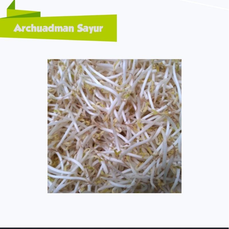 

Tauge panjang 500 gr Surabaya