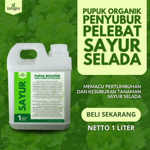 Pupuk Selada Hidroponik / Pupuk Sayuran Selada Sayuran Daun Pupuk Organik Cair POC 1 Liter / Pupuk O