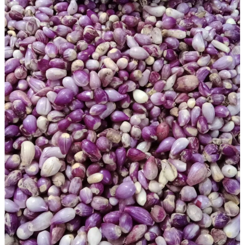 

Bawang Merah Kupas 1kg Segar Berkualitas