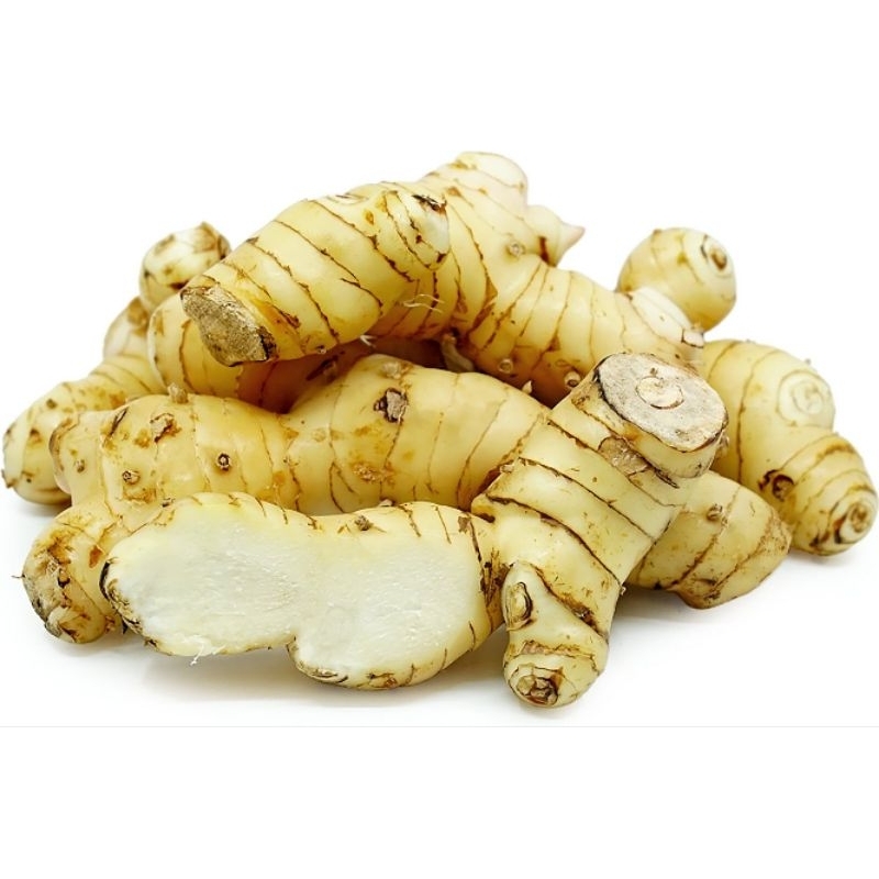 

Lengkuas Segar / Laos 500 gram