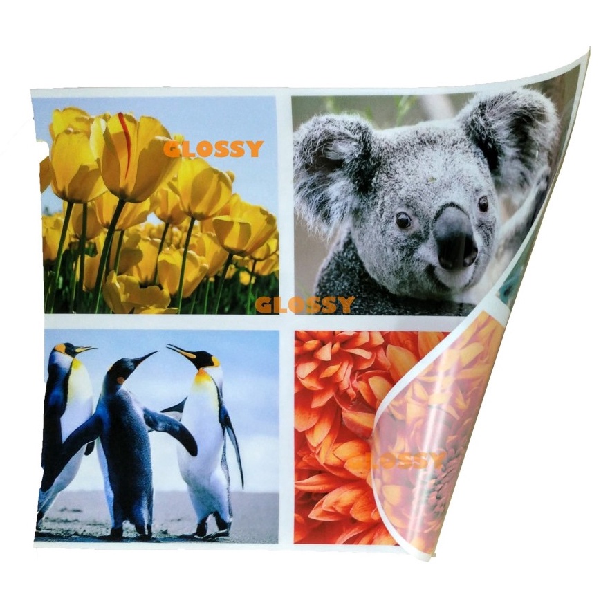 

Terkini BACKLIT FILM 15 gsm REVERSE PRINT B8