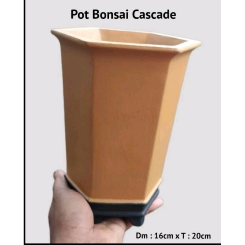 Paket 4pcs pot bonsai cascade