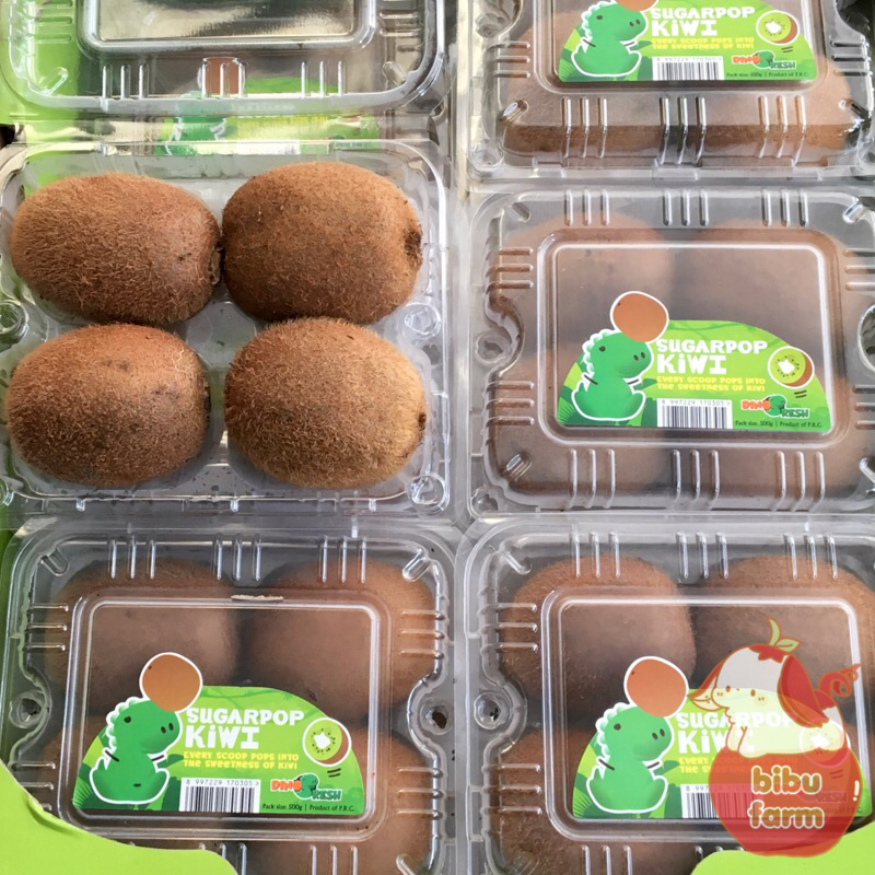 

Kiwi Green Dino Fresh Sugar Pop Berat 500 Gram/Pack