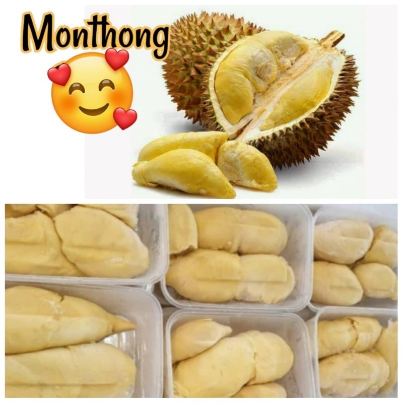

DURIAN MONTONG Fresh