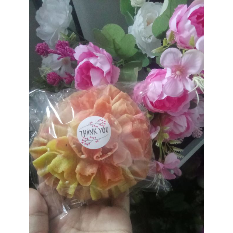 

kembang goyang Thailand size jumbo mekar