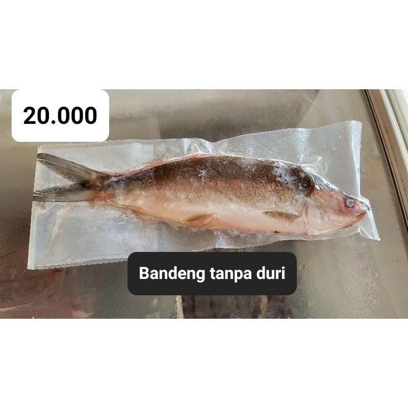 

Bandeng Frozen tanpa duri