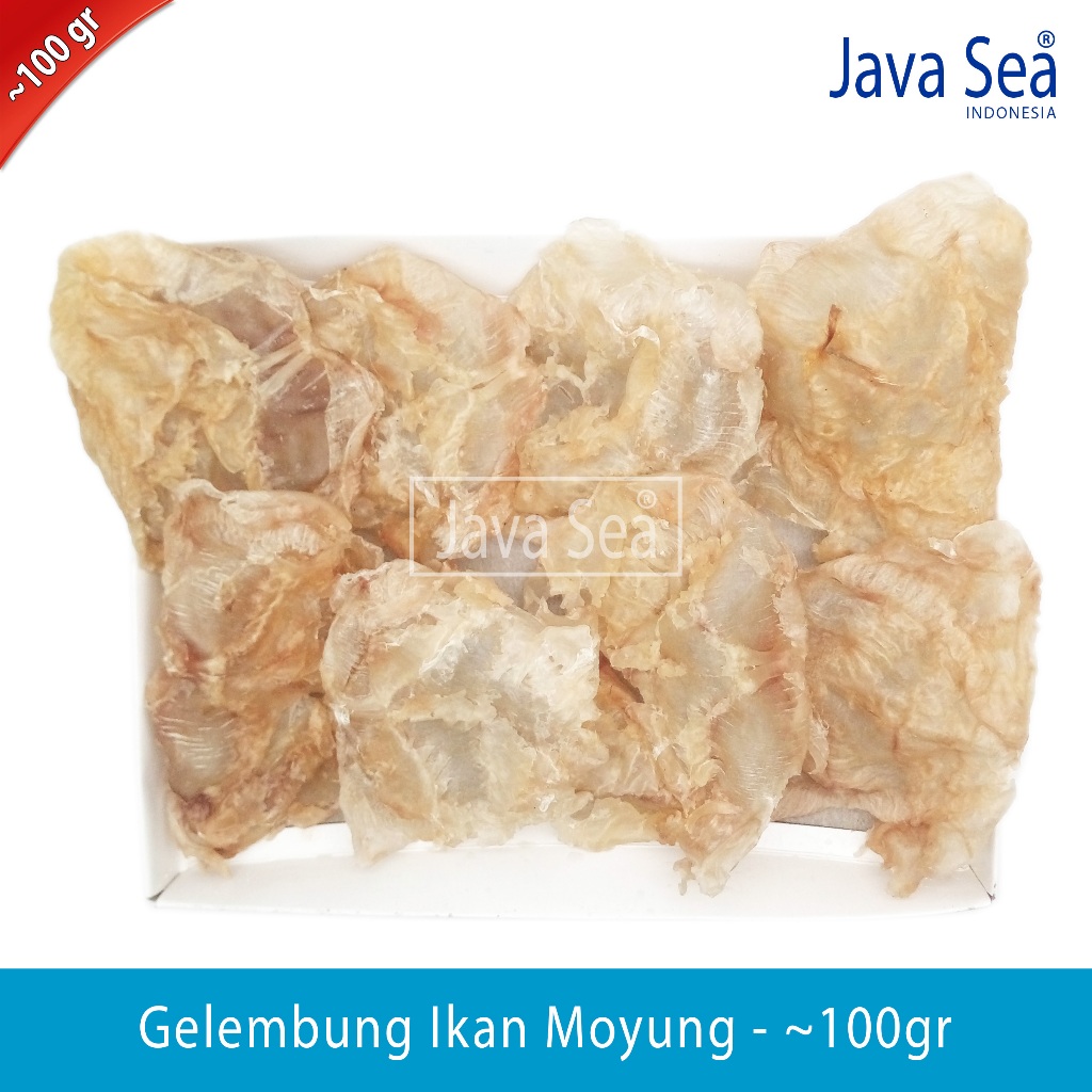 

Gelembung Ikan Moyung pack ~100gr Java Sea